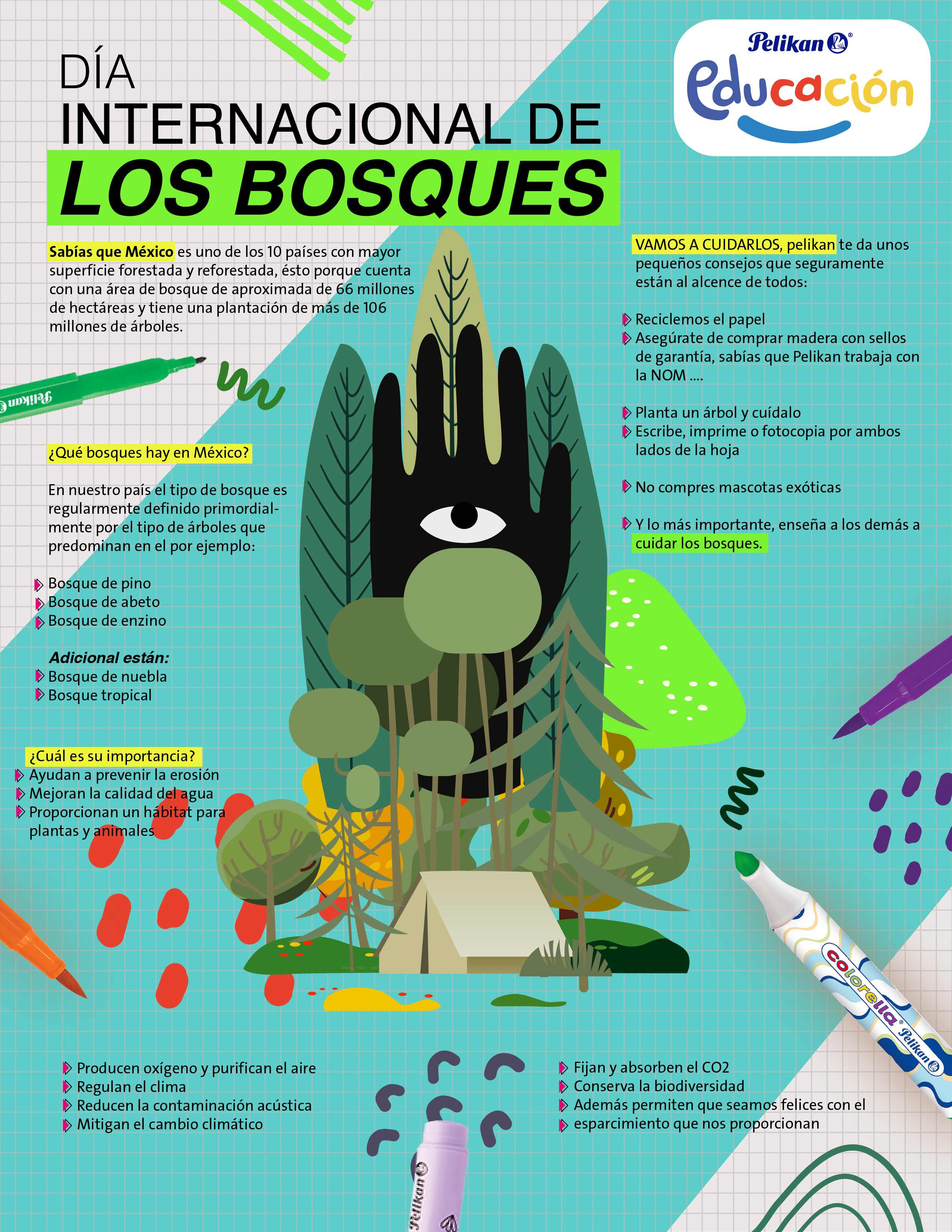 21 21 DÍA INTERNACIONAL DE LOS BOSQUES 1