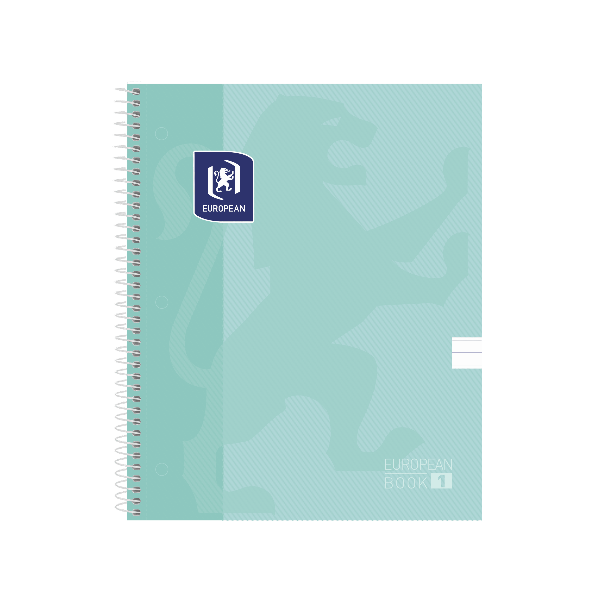 Cuaderno profesional pasta dura 80h rayas ice mint