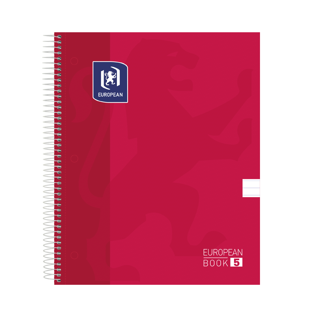 Cuaderno profesional pasta dura 80h rayas ice mint